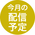 今月の配信予定